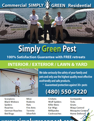 flyers business cards pest control company