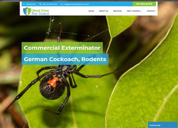 website design and marketing for pest control in Idadho